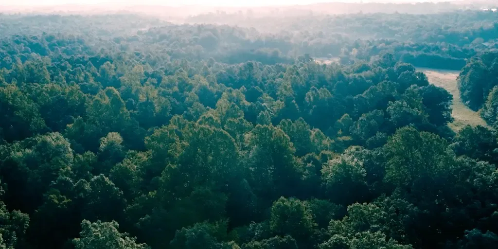 Nachhaltige Finanzen
